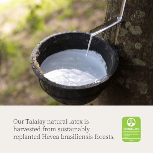 Coop Home Goods Adjustable Latex Pillow King, with Talalay Latex & Microfiber Fill, Naturally Cooling, Eco-Friendly, Medium Firm Pillow for Back, Stomach or Side Sleepers