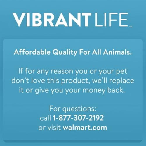 Vibrant Life Pet Kennel Small/Medium 26 Dog Crate, Plastic Travel Pet Carrier for Pets 15-25 lb, Grey