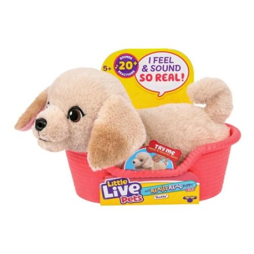 Little Live Pets My Really Real Puppy Minis Buddy the Retriever Interactive Puppy with 20  Sounds & Reactions Ages 5