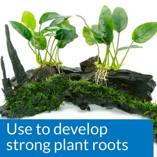 API Root Tabs Freshwater Aquarium Plant Fertilizer, 10 Tablets Per Box