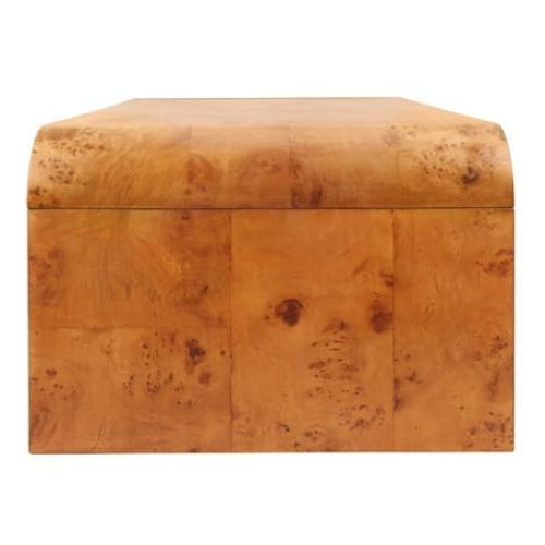 New Pacific Direct Adriel Burl Wood Coffee Table