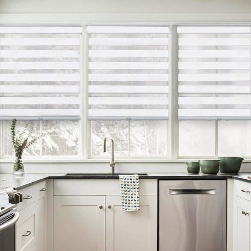 Basic Arctic Cordless Cut-to-Width Light Filtering Dual Layer Zebra Roller Shade 22 in. W x 72 in. L