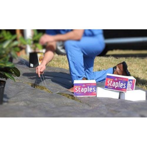 Ashman Galvanized Garden Stakes Landscaping Staples and Fence Stake - Heavy Duty, Anti-Rust, Silver (500 Pack)