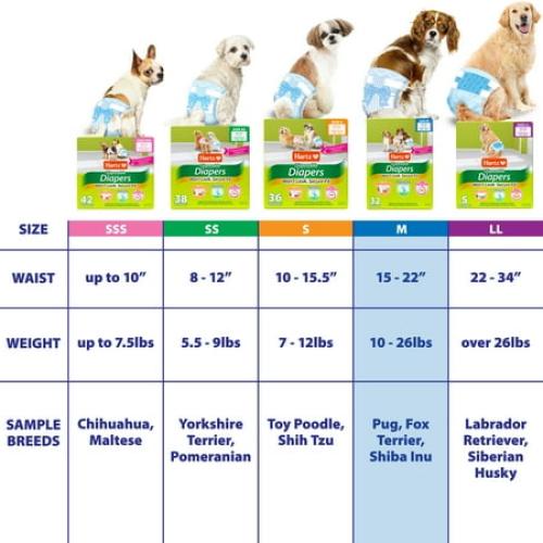 Hartz Disposable Dog Diapers for Female and Male Dogs or Puppies | Superior Leak Proof Protection | Size M | Pack of 32