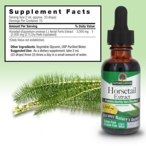 Nature’s Answer Horsetail Extract 2,000 mg, Alcohol-Free, Herbal Supplement, 1 fl oz