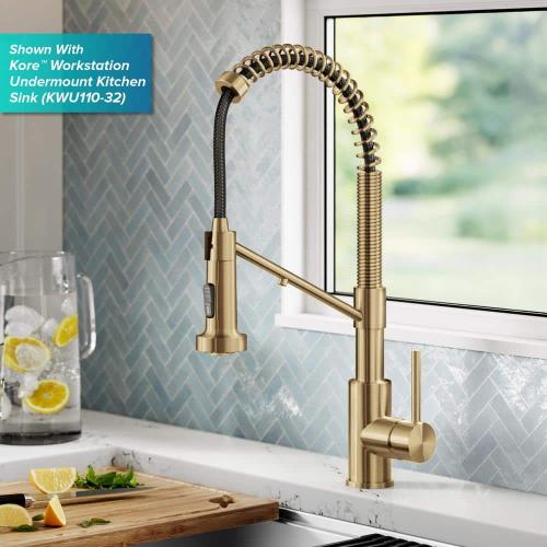 Bolden 2-in-1 Commercial Style Pull-Down Single Handle Water Filter Kitchen Faucet in Brushed Brass