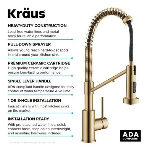 Bolden 2-in-1 Commercial Style Pull-Down Single Handle Water Filter Kitchen Faucet in Brushed Brass