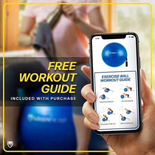 URBNFit Exercise Ball - AntiBurst Swiss Balance Ball w/ Pump - Fitness Ball Chair for Office, Home Gym - Silver, 55CM