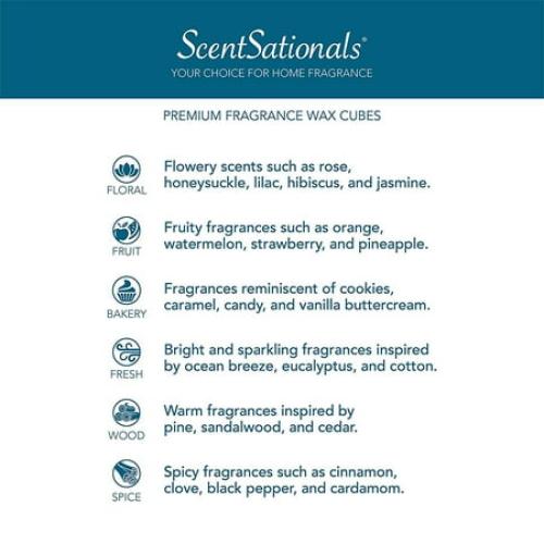 Magic Spell Scented Wax Melts, ScentSationals, 2.5 oz (4-Pack)