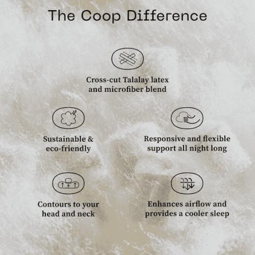 Coop Home Goods Adjustable Latex Pillow King, with Talalay Latex & Microfiber Fill, Naturally Cooling, Eco-Friendly, Medium Firm Pillow for Back, Stomach or Side Sleepers