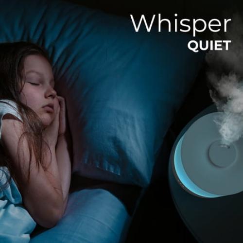 Everlasting Comfort 2.5L Ultrasonic Cool Mist Humidifier - Quiet, Easy Fill & Clean, Auto Shut-Off, Aromatherapy