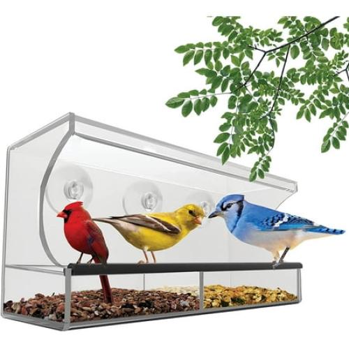 Nature’s Hangout Clear Suction Cup Window Bird Feeder for Wild Birds