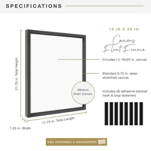MCS Canvas Float Frames 16x20 Frame, Black Frame for Finished Canvases, Vertical & Horizontal Wall Hanging Large Frame with Adhesive for Canvas Paintings (1-Pack)