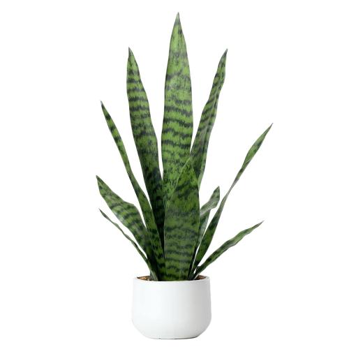 Artificial Snake Plant 22.5 Faux Agave Fake Sansevieria Artificial Potted Plants for Indoor and Outdoor Home Office Décor (White Pot)