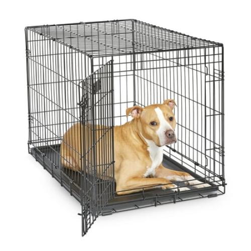 MidWest Homes for Pets Newly Enhanced Single Door iCrate Dog Crate, Includes Leak-Proof Pan, Floor Protecting Feet, Divider Panel & New Patented, 36 Inch