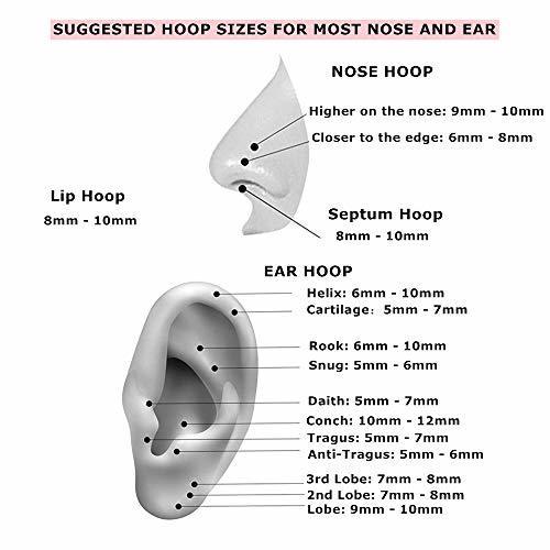 MissNity 2pcs 316L Surgical Steel Hinged Nose Rings Hoop 16G 16 Guage Clicker Segment Nose Hoop Rose Gold 6mm