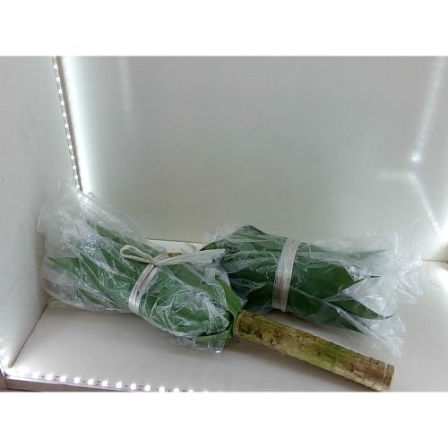 Velener Artificial Agave Plant Set18 Inch Faux Aesthetic Plants for Home Decor Realistic UV Resistant Fake Agave Plants Without Pot Set of 2