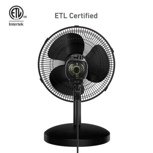 Holmes 12 Table Fan