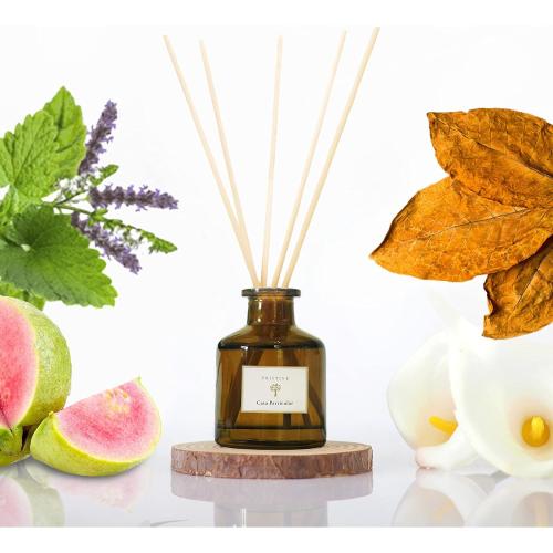 PRISTINE Casa Particular/Inspired by Wyndham Reed Diffuser for Home | Rich Blend of Tobacco Leaves, Sweetness of Guava Reed Diffuser Set, Oil & Reed Diffuser Sticks-Home & Office Decor-Fragrance Gift Casa Particular 1.69 fl oz