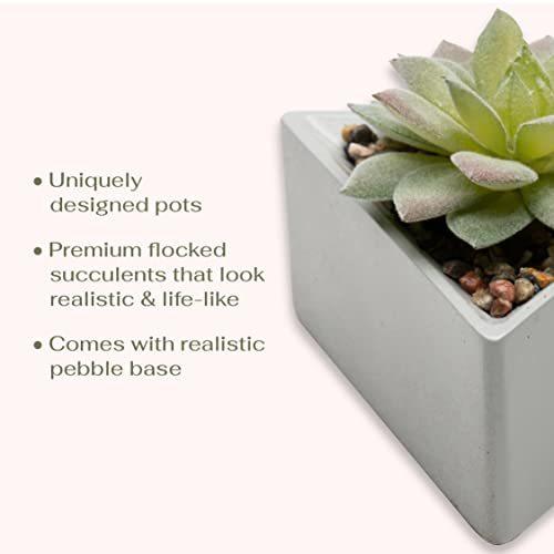 VIVERIE Small Fake Succulents in Pots, Mini Succulents Plants Artificial-3Pc, Green Artificial Faux Succulents for Home Decor Indoor/Room/Office Desk-Triangular Pot