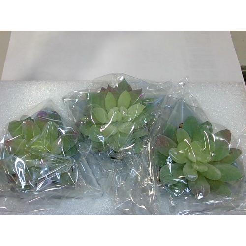 VIVERIE Small Fake Succulents in Pots, Mini Succulents Plants Artificial-3Pc, Green Artificial Faux Succulents for Home Decor Indoor/Room/Office Desk-Triangular Pot