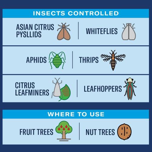 32 oz. Concentrated Outdoor Fruit and Citrus Tree Insect Killer
