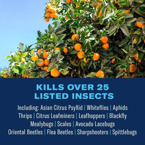 32 oz. Concentrated Outdoor Fruit and Citrus Tree Insect Killer
