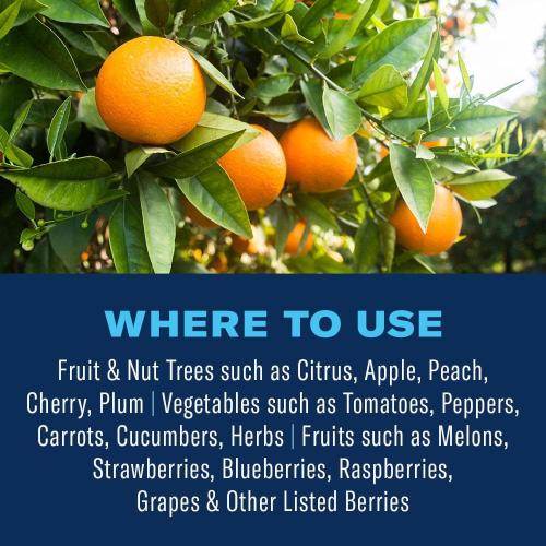32 oz. Concentrated Outdoor Fruit and Citrus Tree Insect Killer