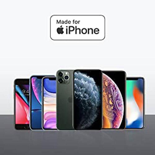 Anker Anker 3.5 mm Audio Cable with Lightning Connector﻿