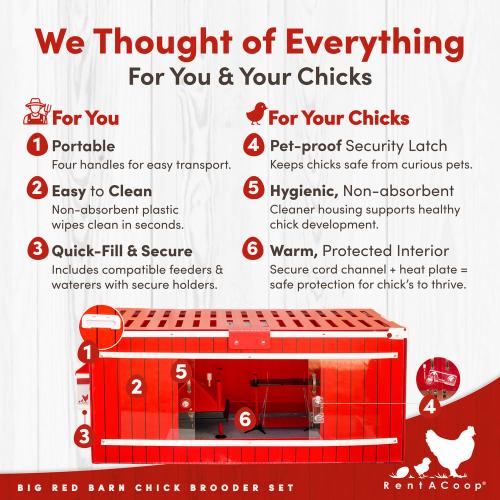 RentACoop, Big Red Barn Brooder All-In-One Set, Complete with 2 Feeders, 2 Waterers, Heating Plate, Swing, Jute Liner, and Hatchling LIners, Model# BR-LARG-SET