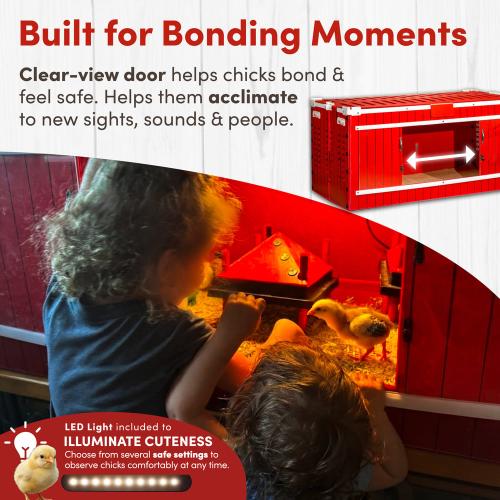 RentACoop, Big Red Barn Brooder All-In-One Set, Complete with 2 Feeders, 2 Waterers, Heating Plate, Swing, Jute Liner, and Hatchling LIners, Model# BR-LARG-SET