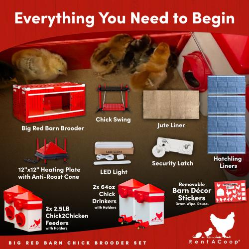 RentACoop, Big Red Barn Brooder All-In-One Set, Complete with 2 Feeders, 2 Waterers, Heating Plate, Swing, Jute Liner, and Hatchling LIners, Model# BR-LARG-SET