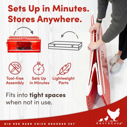 RentACoop, Big Red Barn Brooder All-In-One Set, Complete with 2 Feeders, 2 Waterers, Heating Plate, Swing, Jute Liner, and Hatchling LIners, Model# BR-LARG-SET