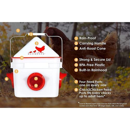 RentACoop, 10 Lb. Chick2Chicken 4-Port Poultry Feeder,Includes Anti-Roost Cone, Slider Port Cover, and Lid - Suitable for up to 20 Chicks & 12 Adult Chickens, Model# PL-2GAL-FEED