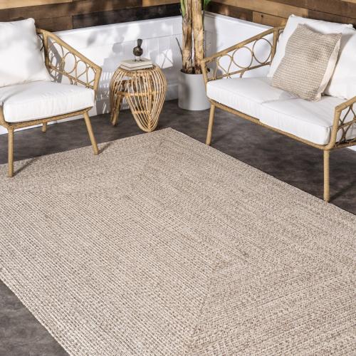 Owensby Braided Tan Indoor/Outdoor Rug 4' x 6'