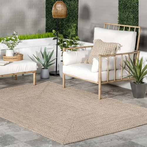 Owensby Braided Tan Indoor/Outdoor Rug 4' x 6'
