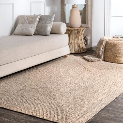 Owensby Braided Tan Indoor/Outdoor Rug 4' x 6'