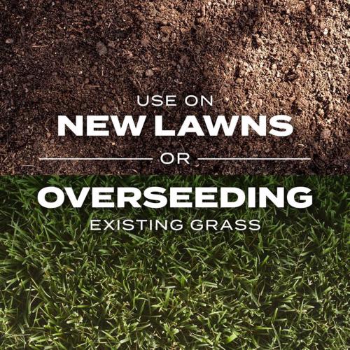 Scotts Turf Builder Rapid Grass Tall Fescue Grass Sun or Shade Grass Seed and Fertilizer 5.6 lb