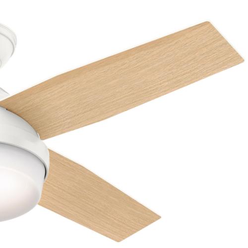 Hunter Dempsey 44 in. LED Indoor Ceiling Fan