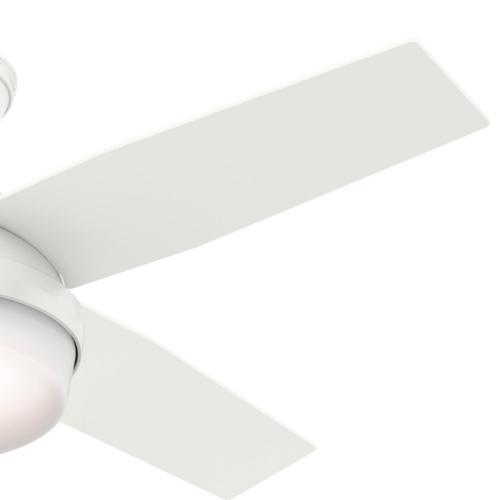 Hunter Dempsey 44 in. LED Indoor Ceiling Fan