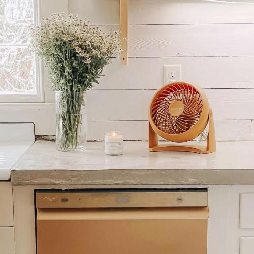 Honeywell TurboForce 10.9 in. H 3 speed Air Circulator Fan