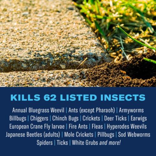 40oz BioAdvanced Complete Insect Killer for Soil & Turf Concentrate 40 oz
