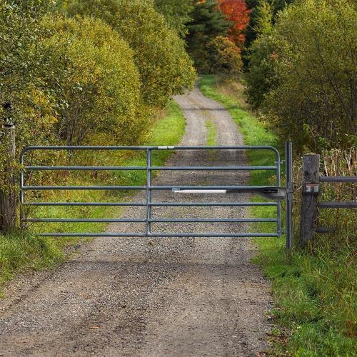 Mighty Mule MM271 Single Arm Gate Opener 12 V AC/Battery Powered Automatic Gate Opener