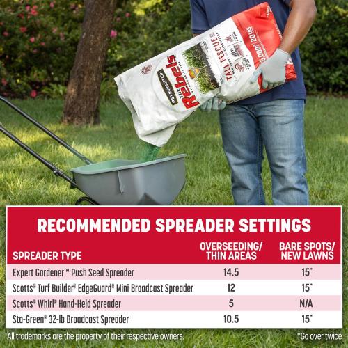 Pennington The Rebels Tall Fescue Grass Sun or Shade Grass Seed 7 lb