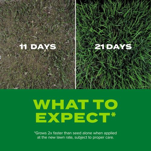 Scotts Turf Builder Rapid Grass Tall Fescue Grass Sun or Shade Grass Seed and Fertilizer 5.6 lb