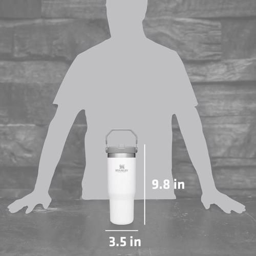 Stanley IceFlow 30 oz Polar BPA Free Double-Wall Vacuum Insulated Straw Tumbler