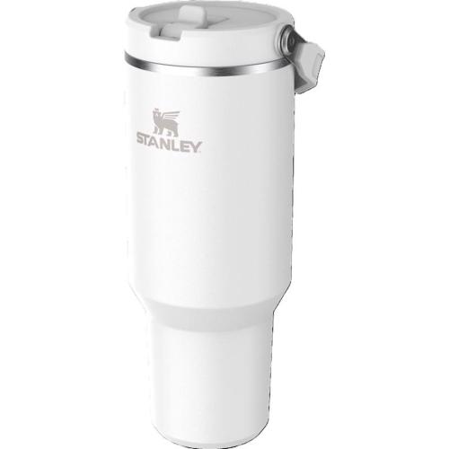 Stanley IceFlow  2.0 40 oz Frost BPA Free Insulated Straw Tumbler