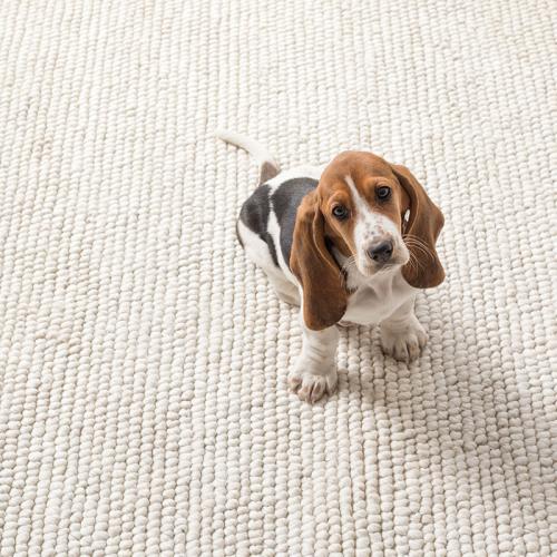 Chunky Handwoven Wool Rug - Ivory, 3' x 5'