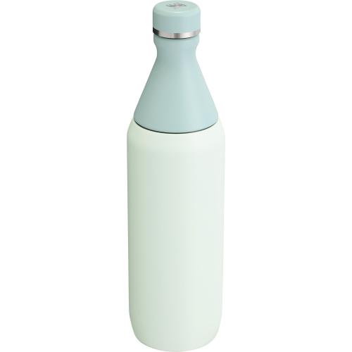 Stanley 20 oz. All Day Slim Bottle