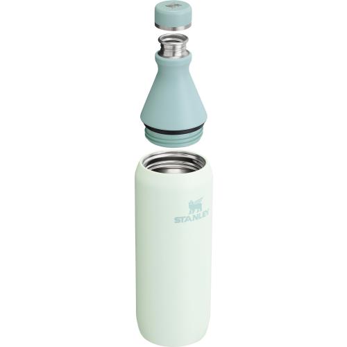 Stanley 20 oz. All Day Slim Bottle